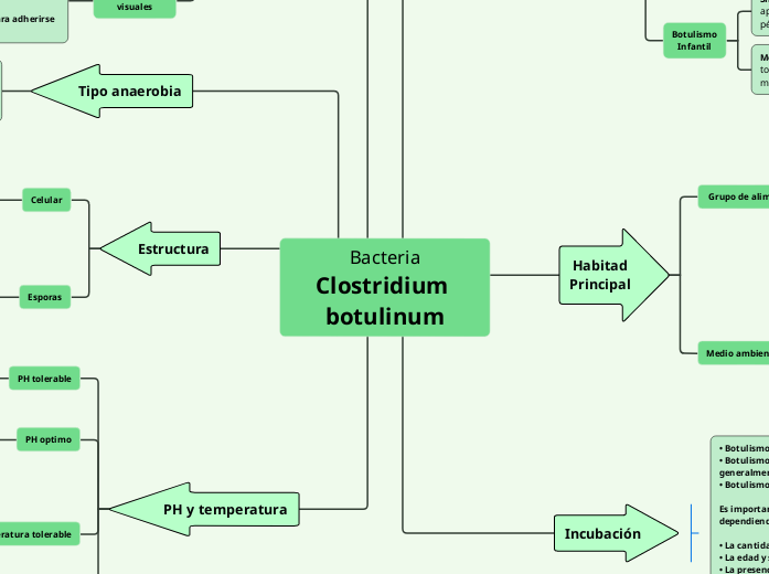 Bacteria
Clostridium botulinum