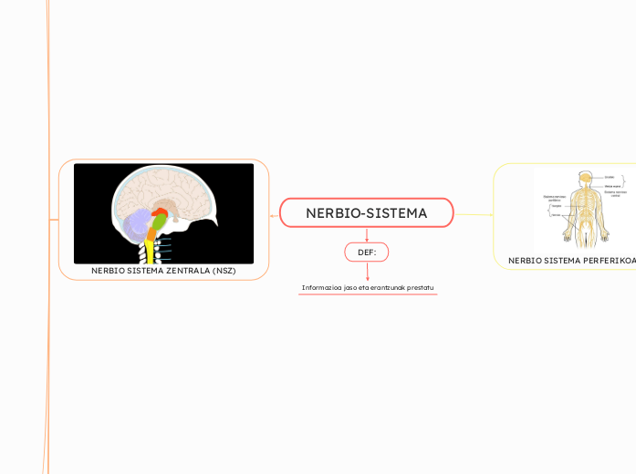 NERBIO-SISTEMA