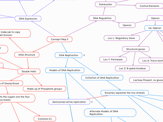 Concept Map 3