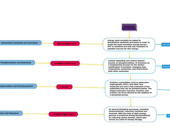 Anabolism