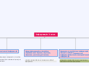 Інформація 2 клас