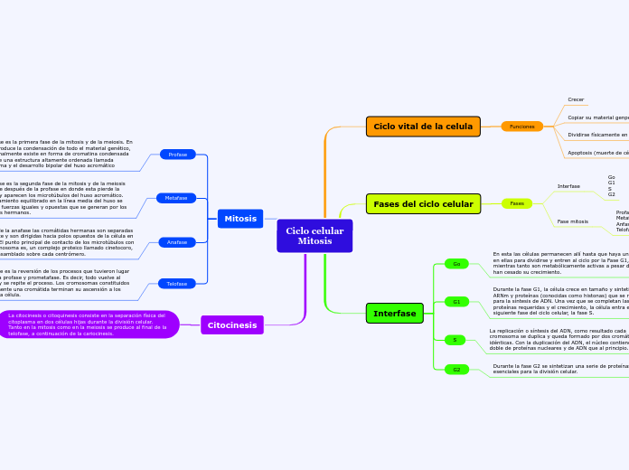 Ciclo celular
Mitosis