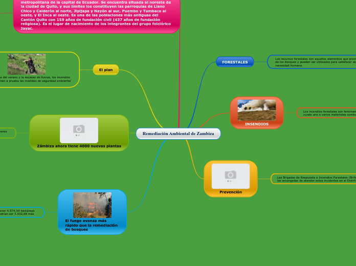 Remediación Ambiental de Zambiza