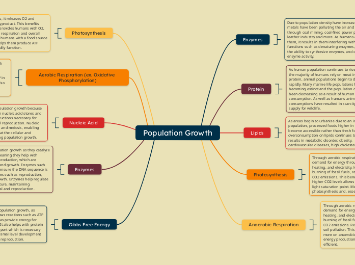 Population Growth