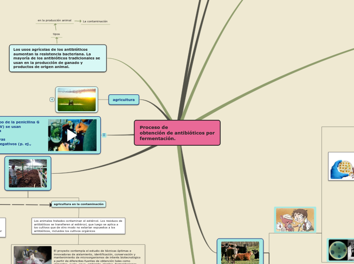 Proceso de
obtención de antibióticos por
fermentación.