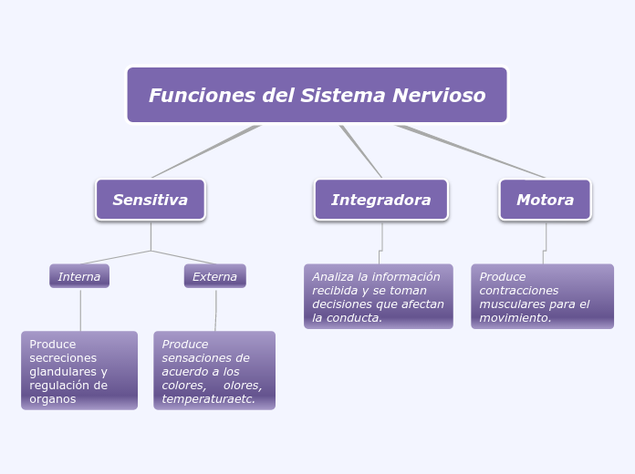 Funciones del Sistema Nervioso