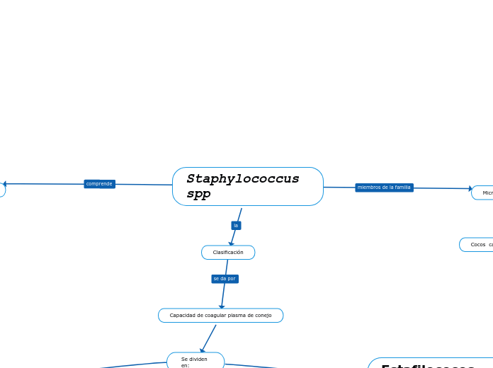 Staphylococcus          spp