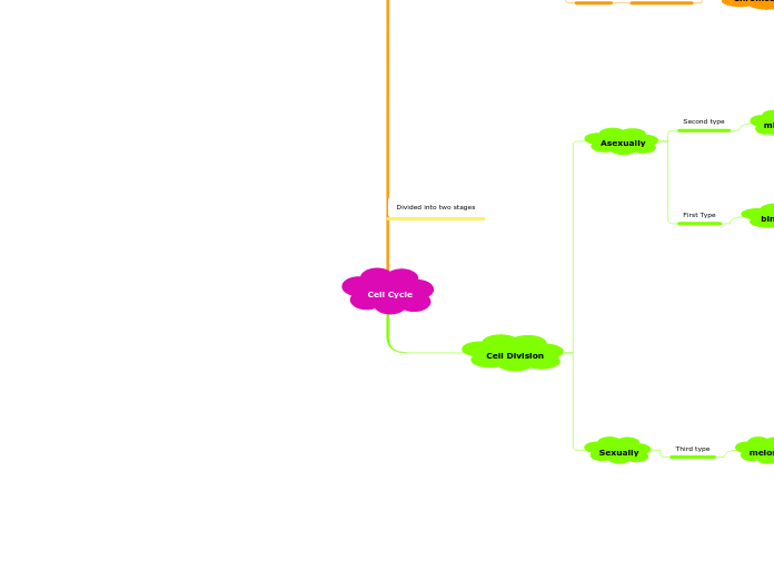 Cell Cycle