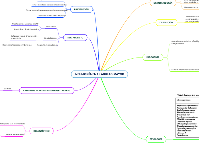NEUMONÍA EN EL ADULTO MAYOR