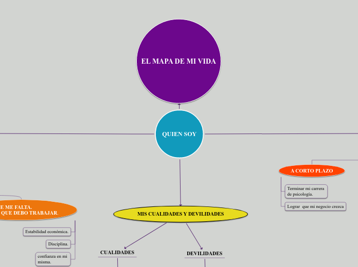 MAPA DE MI VIDA