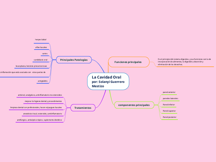 La Cavidad Oral por: Solanyi Guerrero Mestizo