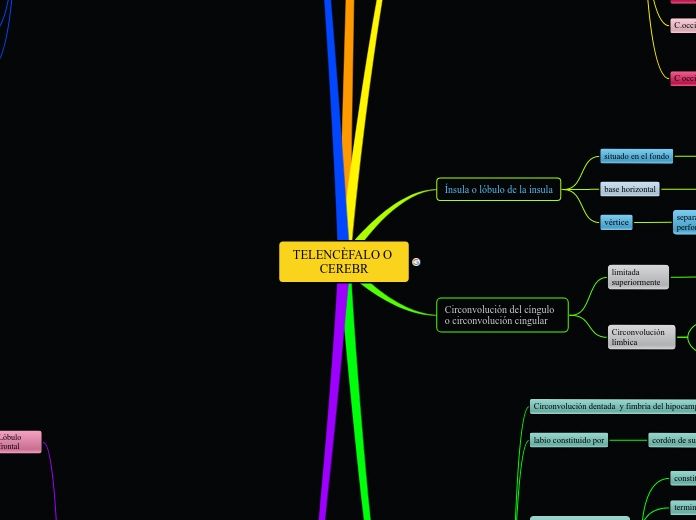 Sample Mind Map