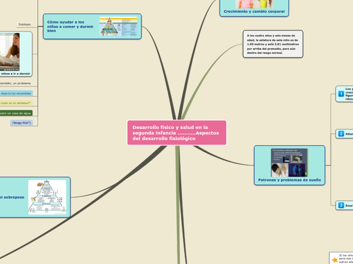 Desarrollo físico y salud en la segunda infancia ...........Aspectos del desarrollo fisiológico