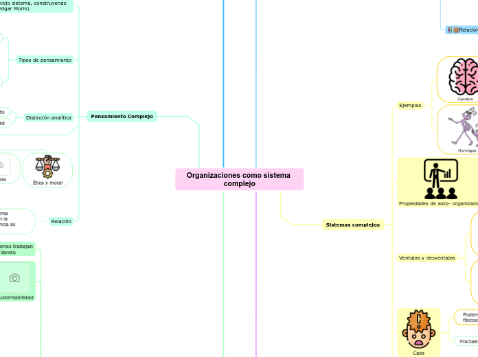 Organizaciones como sistema complejo