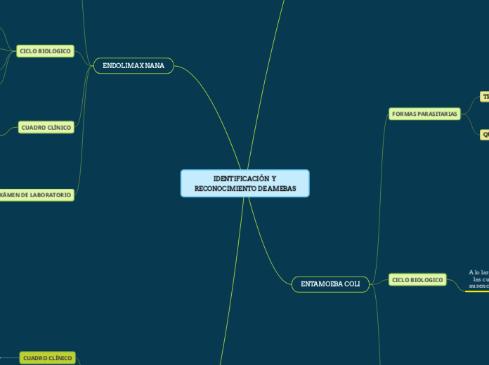 IDENTIFICACIÓN  Y RECONOCIMIENTO DE AMEBAS