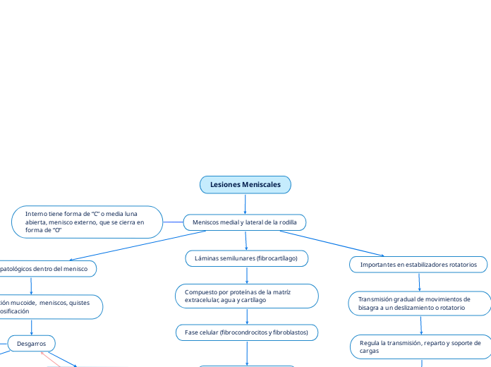 Lesiones Meniscales