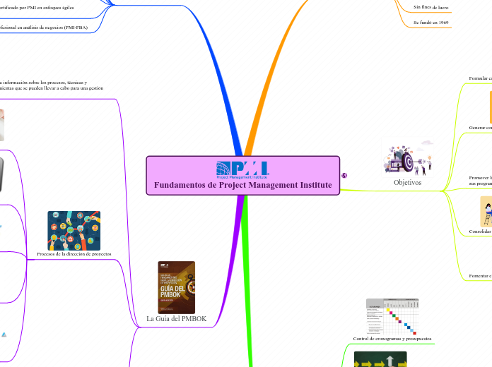 Fundamentos de Project Management Institute