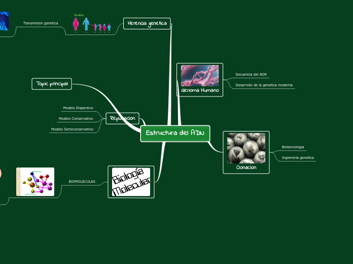 Estructura del ADN