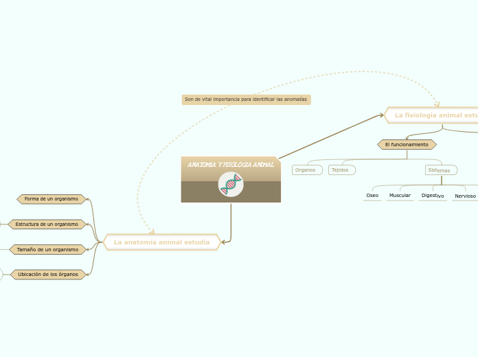 ANATOMIA Y FISOLOGIA ANIMAL