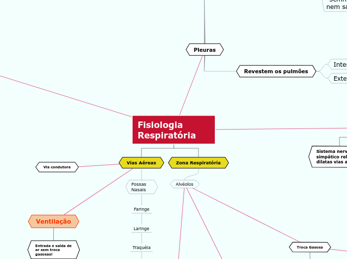 Fisiologia Respiratória