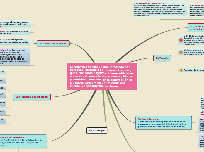 MAPA CONCEPTUAL