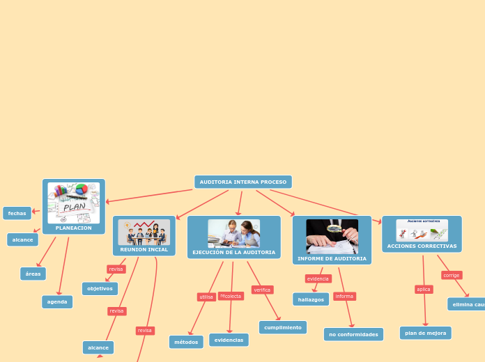 AUDITORIA INTERNA PROCESO