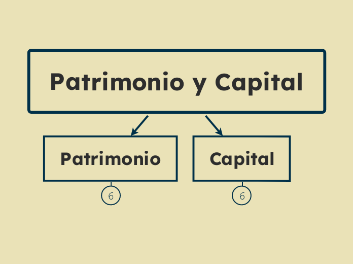 Patrimonio y Capital