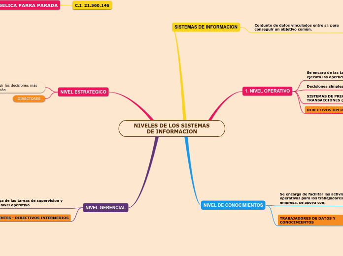 NIVELES DE LOS SISTEMAS DE INFORMACION