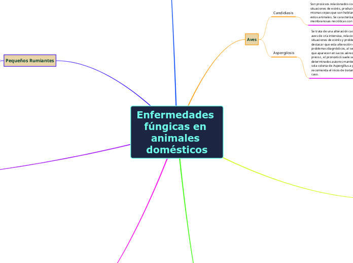 Enfermedades fúngicas en animales domésticos