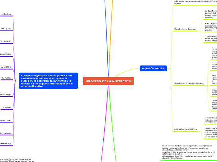 PROCESO DE LA NUTRICION