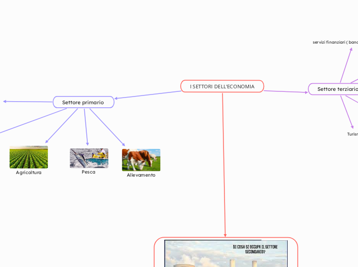 I SETTORI DELL'ECONOMIA