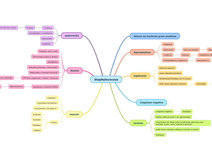 Staphylococcus 