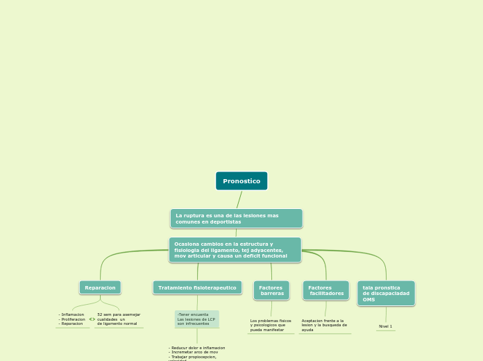 Tejidos fundamentales