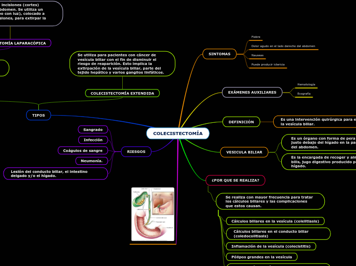 COLECISTECTOMÍA