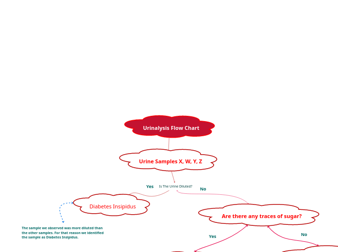 Urinalysis Flow Chart