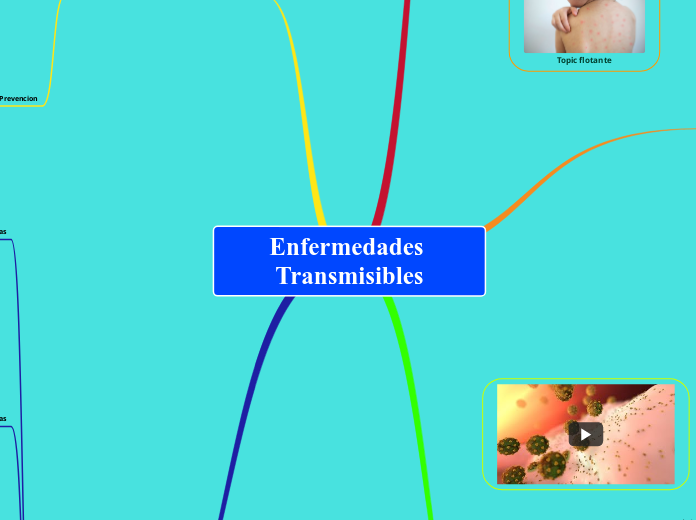 Enfermedades Transmisibles