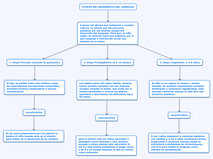 ETAPAS DEL DESARROLLO DEL LENGUAJE