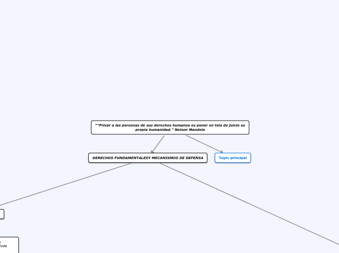DERECHOS FUNDAMENTALES Y MECANISMOS DE DEFENSA.