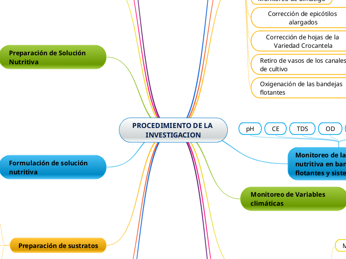 PROCEDIMIENTO DE LA INVESTIGACION