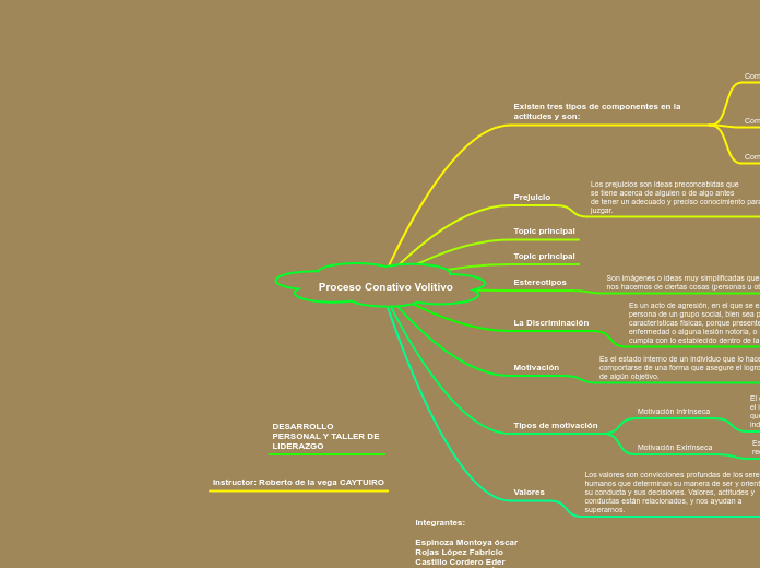 Proceso Conativo Volitivo