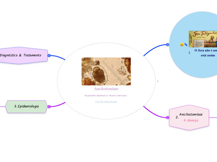 Ancilostomíase
Ancylostoma duodenale & Necator americanus. 
Profa. Dra. Fabiana Brandão