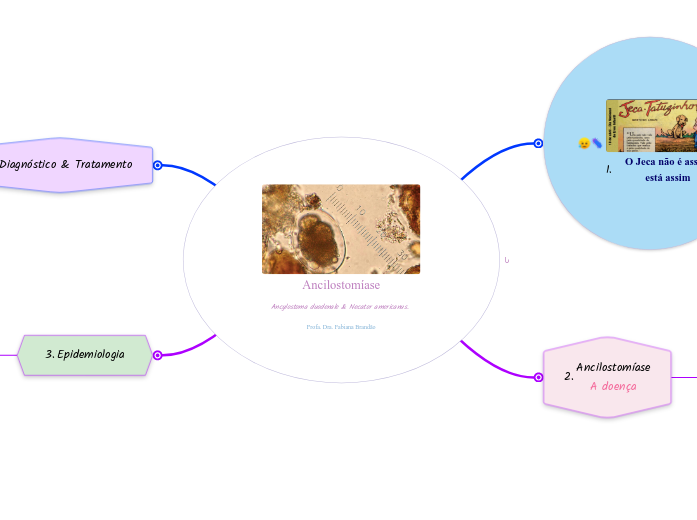 Ancilostomíase
Ancylostoma duodenale & Necator americanus. 
Profa. Dra. Fabiana Brandão