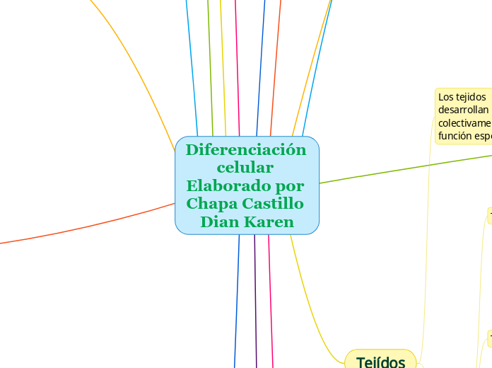 Diferenciación celular Elaborado por Chapa Castillo Dian Karen