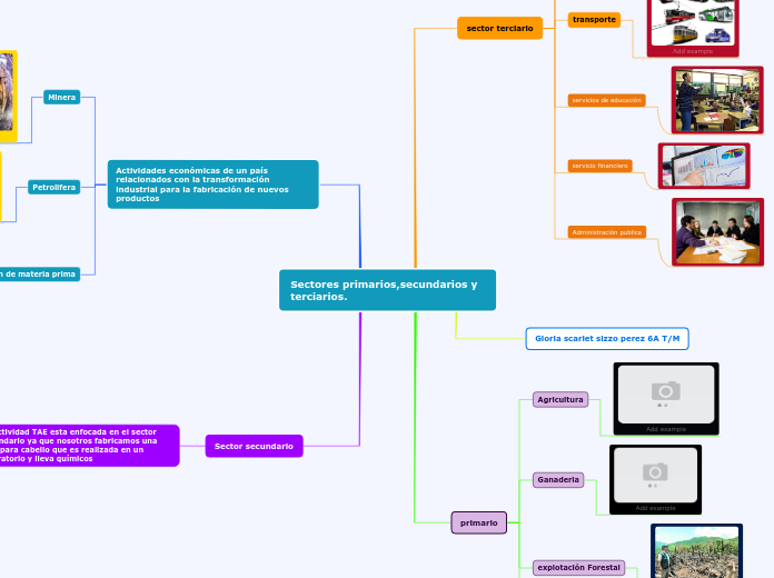 Sectores primarios,secundarios y terciarios.