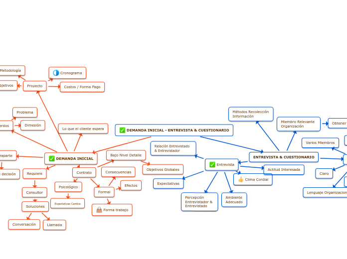 DEMANDA INICIAL - ENTREVISTA & CUESTIONARIO