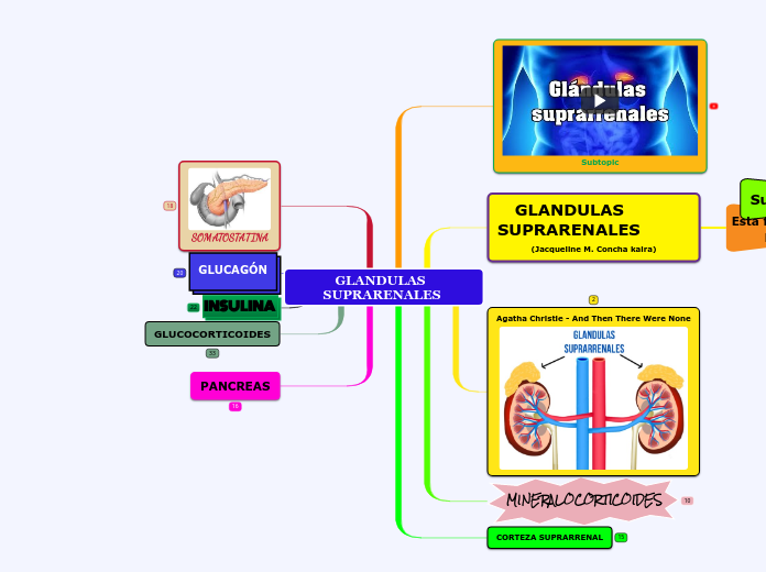 GLANDULAS SUPRARENALES