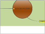 La función de nutrición 1