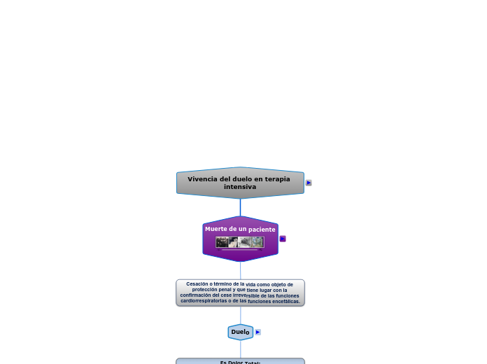 Mapa Vivencia del duelo en terapia intensiva
