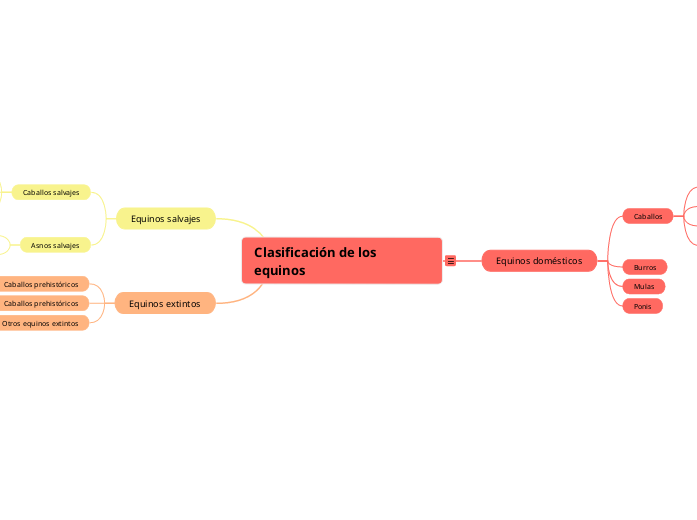 Clasificación de los equinos