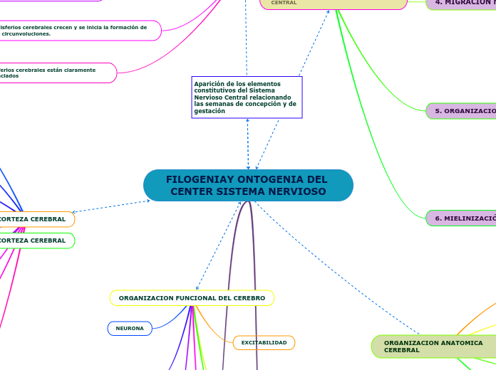 FILOGENIAY ONTOGENIA DEL CENTER SISTEMA NERVIOSO